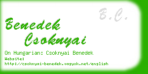 benedek csoknyai business card